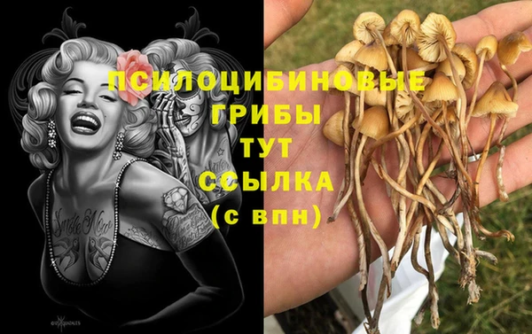 спайс Гусь-Хрустальный