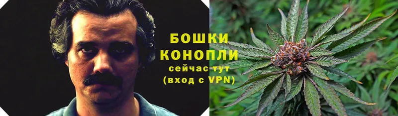 купить наркотик  Иннополис  Каннабис LSD WEED 