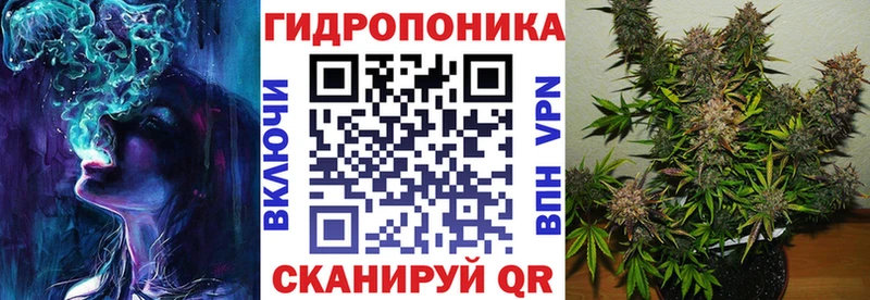 купить  сайты  Иннополис  Канабис индика 